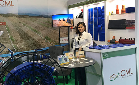 Feria Agricola