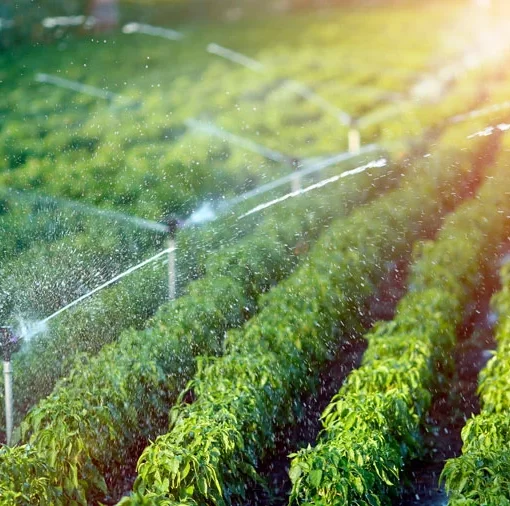 Agricultura en Chile:
