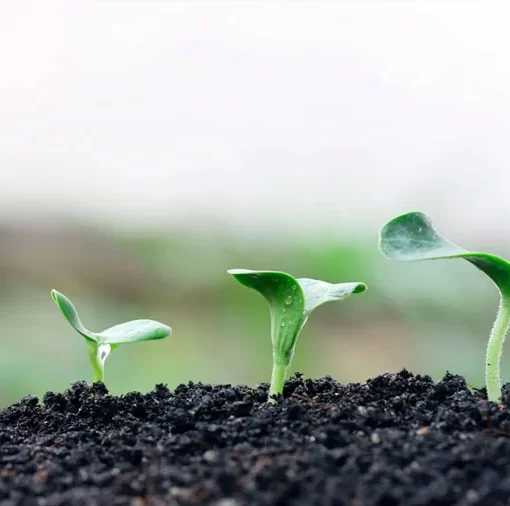 agricultura sostenible