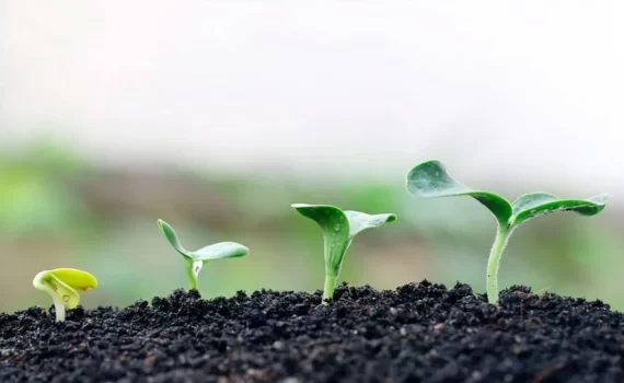 agricultura sostenible