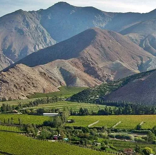 Agricultura Chilena