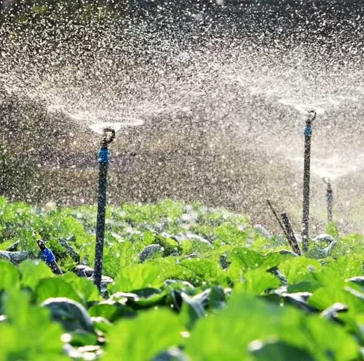 agricultura Chilena