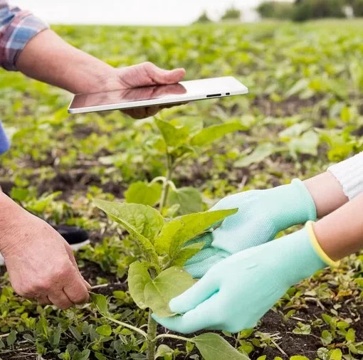 agricultura-sostenible