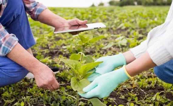 agricultura-sostenible